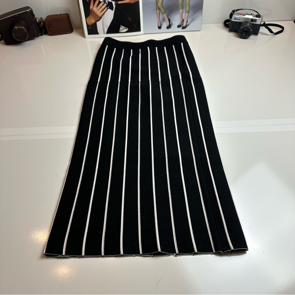 House of Harlow 1960 Striped Knit Maxi Skirt | Pleated Column · Quiet Luxury - Picture 2 of 10